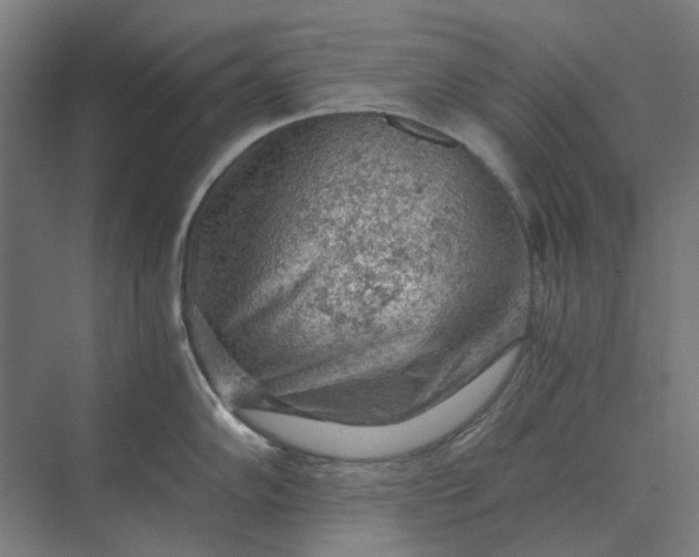 X0000069811102200606021459