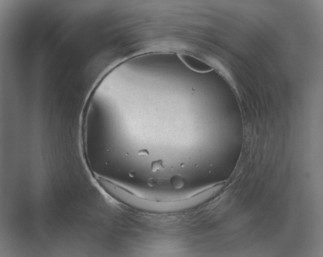 X0000069811103200606021459