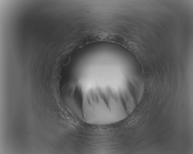 X0000069811105200606021458