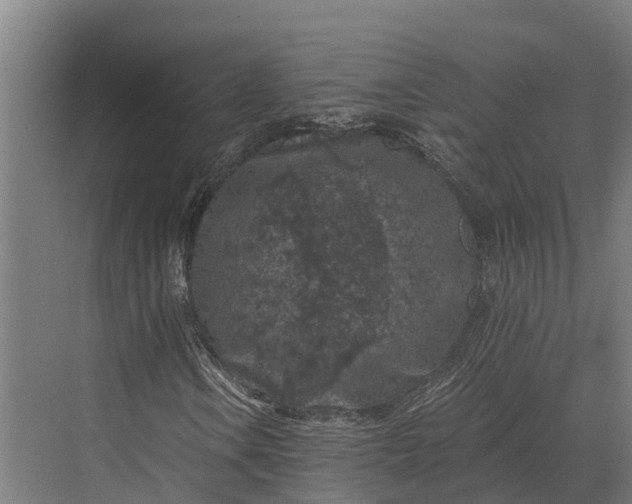 X0000069811106200606021458