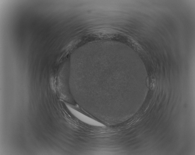 X0000069811108200606021458