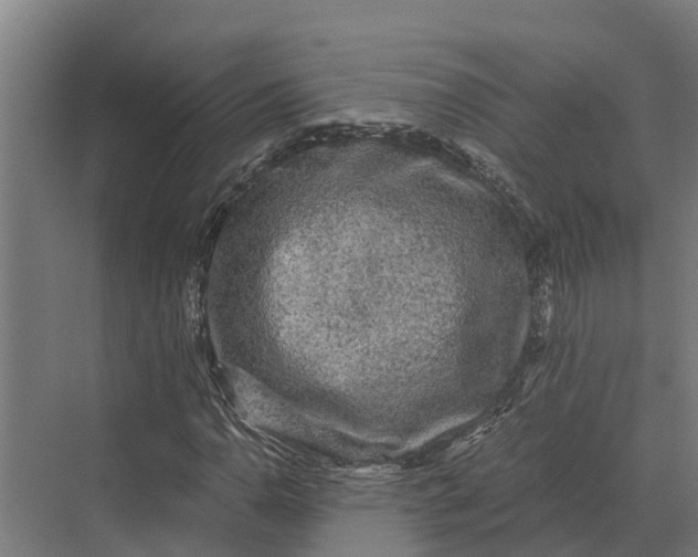 X0000069811110200606021458