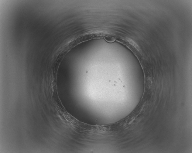 X0000069811111200606021458