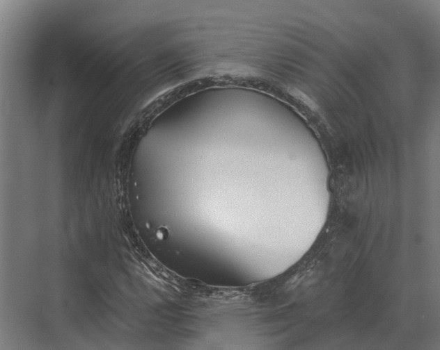 X0000069811112200606021458