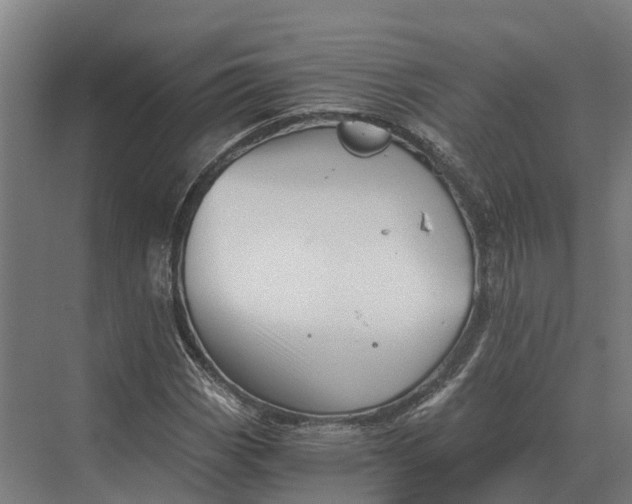 X0000069811113200606021458