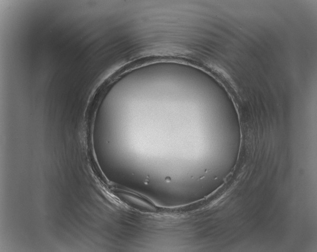 X0000069811114200606021458