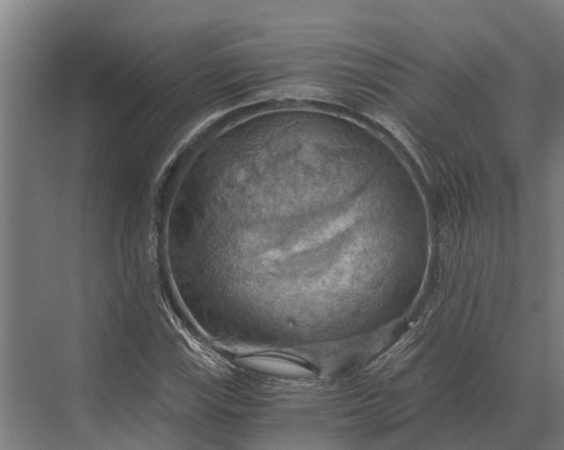 X0000069811115200606021458