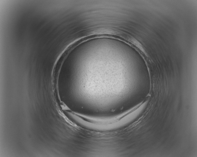 X0000069811116200606021458