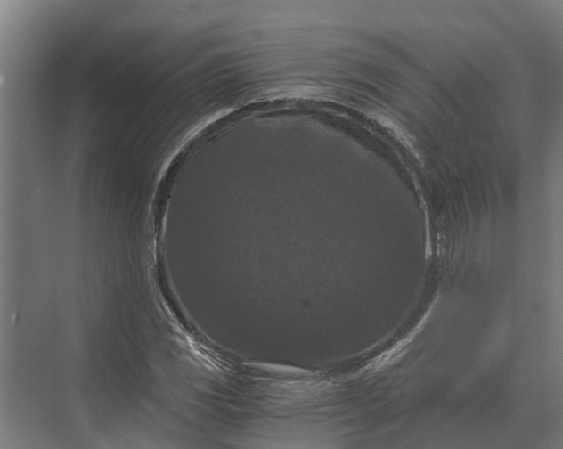 X0000069811117200606021458