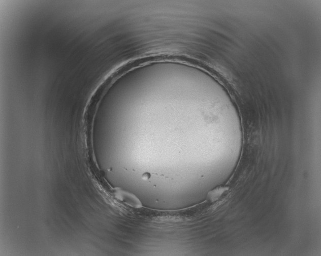 X0000069811118200606021458