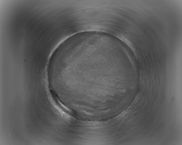 X0000069811120200606021458