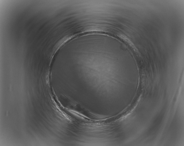 X0000069811121200606021458