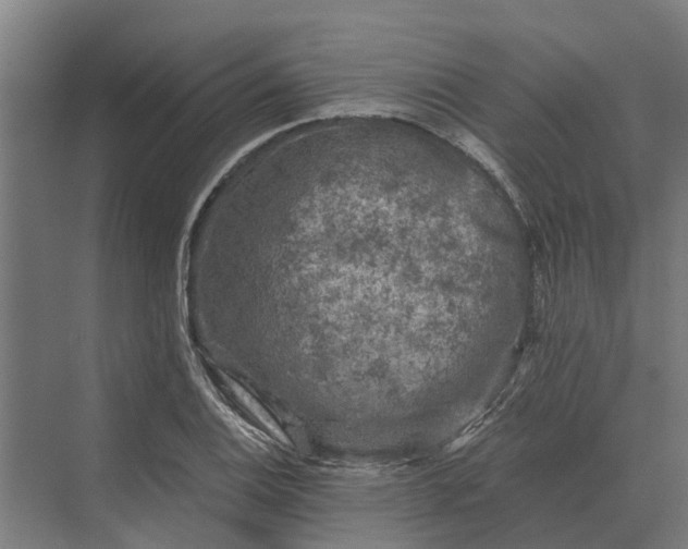 X0000069811124200606021458