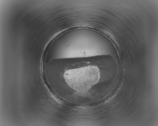 X0000069811125200606021458