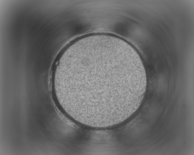 X0000069811126200606021458