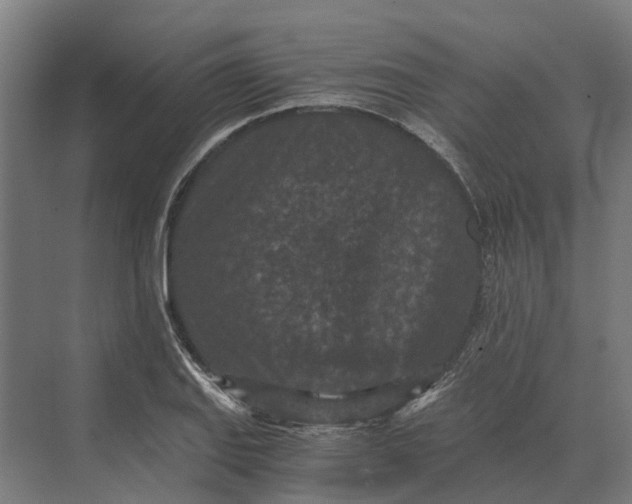 X0000069811127200606021458