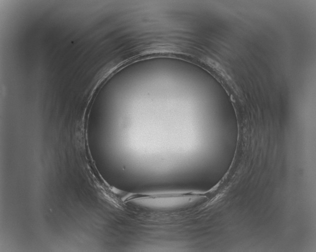 X0000069811129200606021458