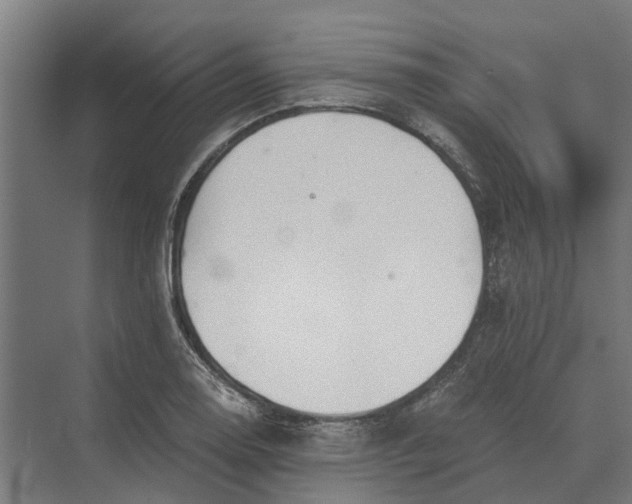 X0000069811130200606021458