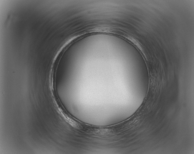 X0000069811131200606021458