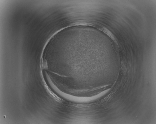 X0000069811132200606021458