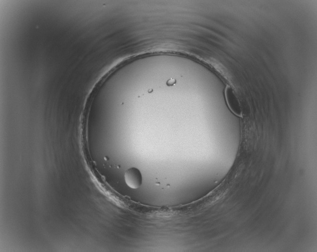 X0000069811134200606021458