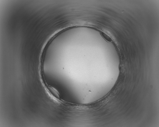 X0000069811136200606021458