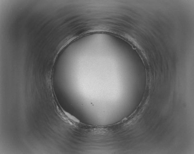 X0000069811137200606021458