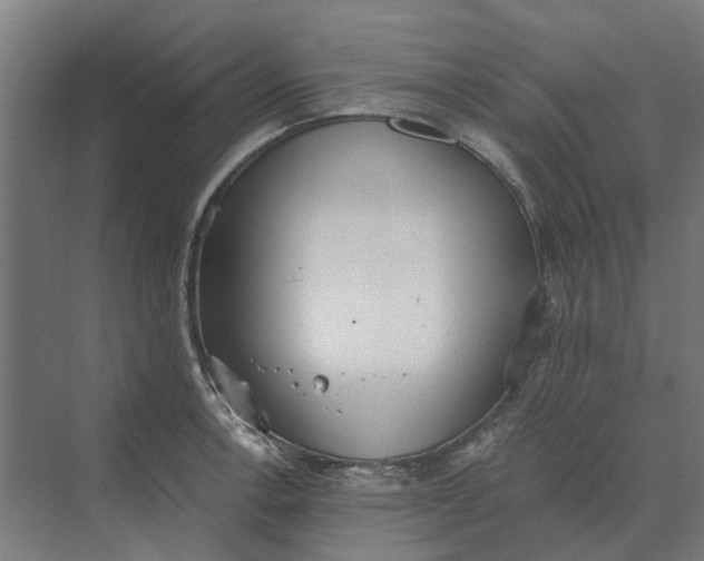 X0000069811138200606021458