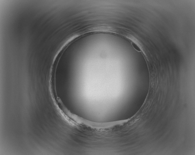 X0000069811139200606021458