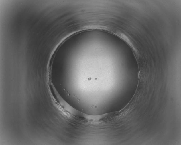 X0000069811140200606021458