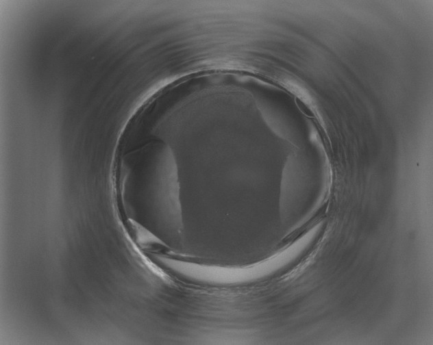 X0000069811141200606021458