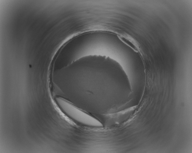 X0000069811142200606021458