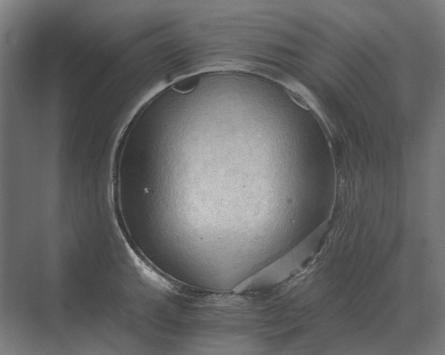 X0000069811143200606021458