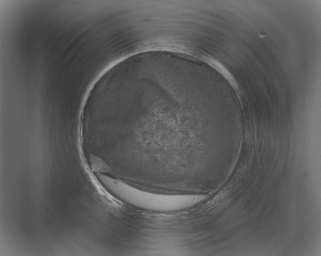 X0000069811144200606021458