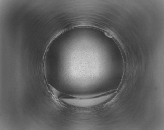 X0000069811145200606021458