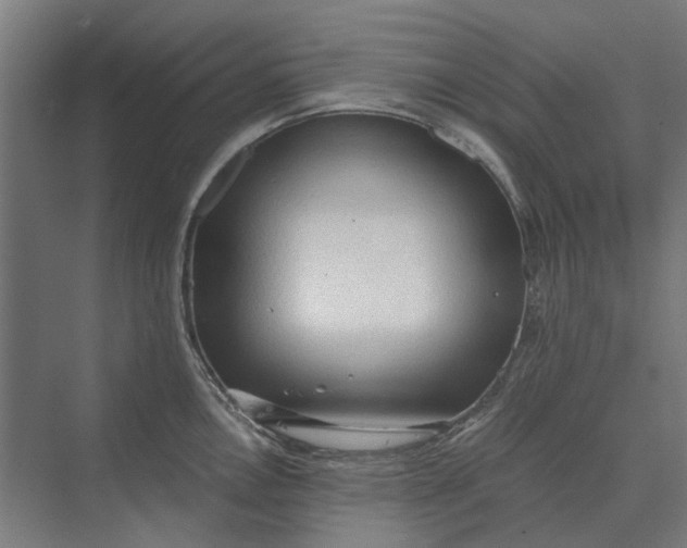 X0000069811146200606021458