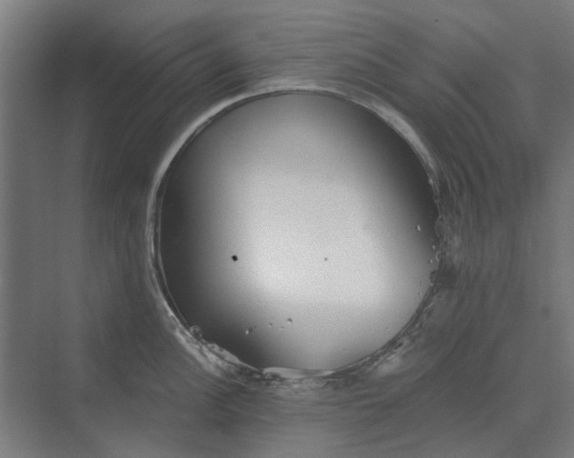 X0000069811148200606021458