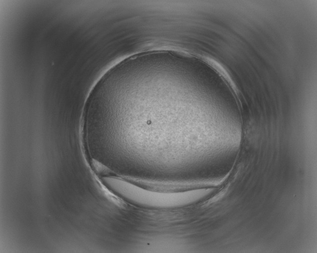 X0000069811149200606021458