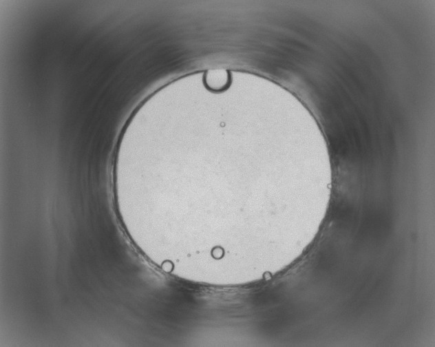 X0000069811150200606021458