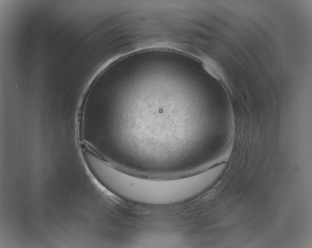 X0000069811151200606021458