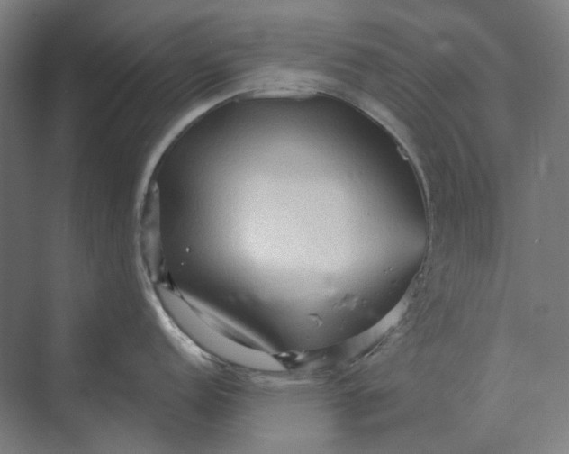 X0000069811152200606021458