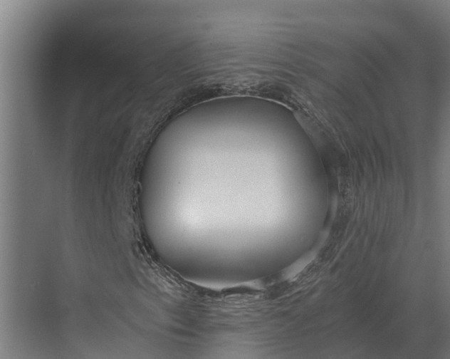 X0000069811153200606021458