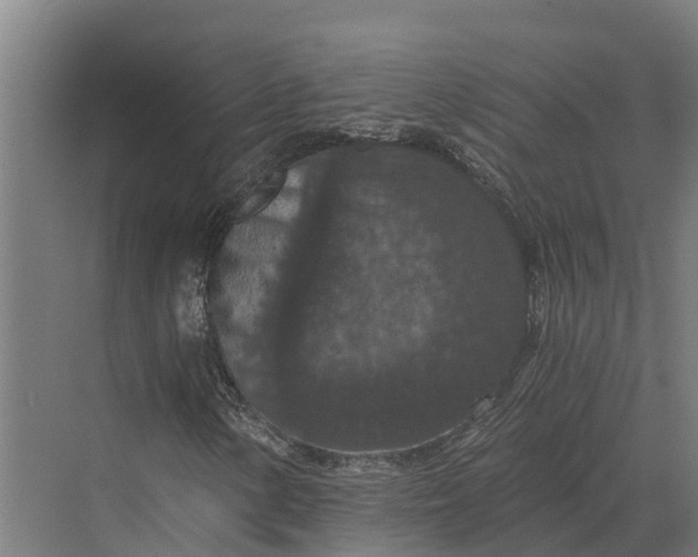 X0000069811154200606021458