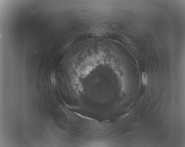 X0000069811155200606021458