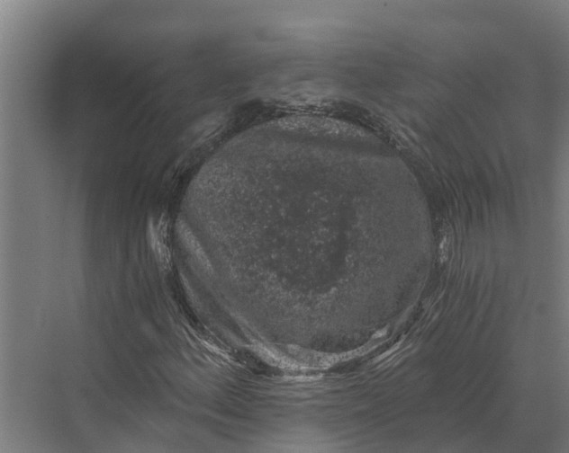 X0000069811156200606021458