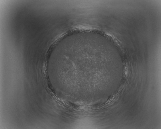 X0000069811157200606021458