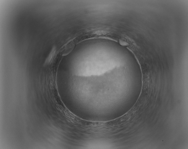 X0000069811158200606021458