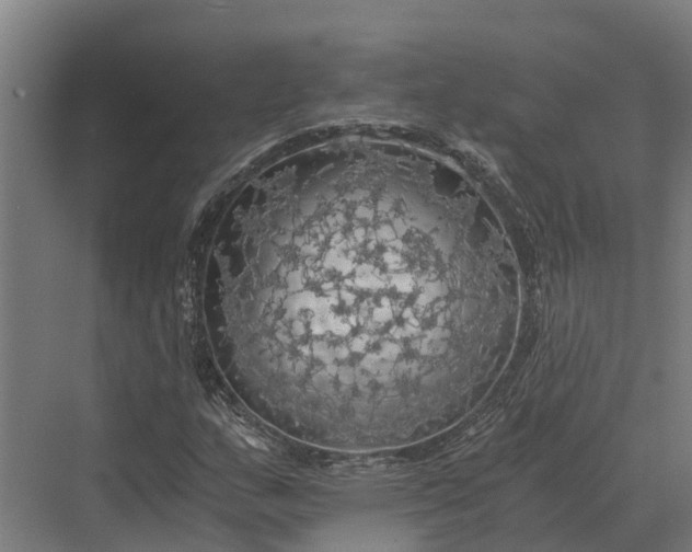 X0000069811159200606021458