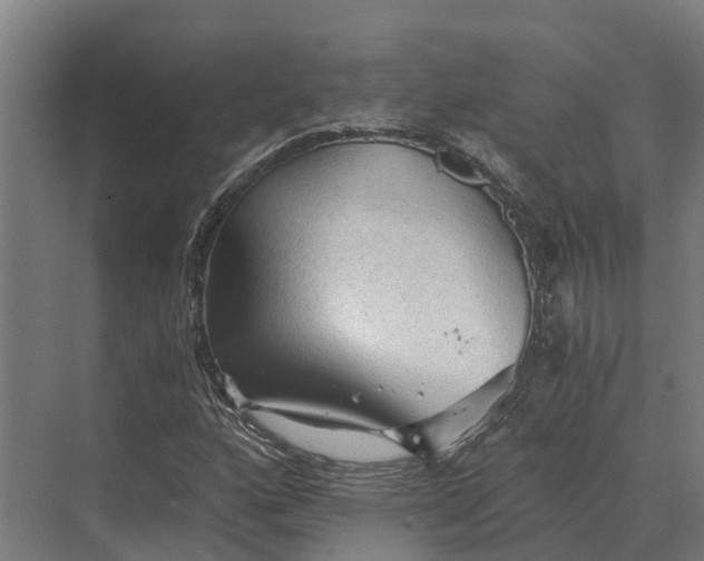 X0000069811160200606021458