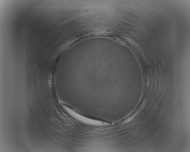 X0000069811161200606021458